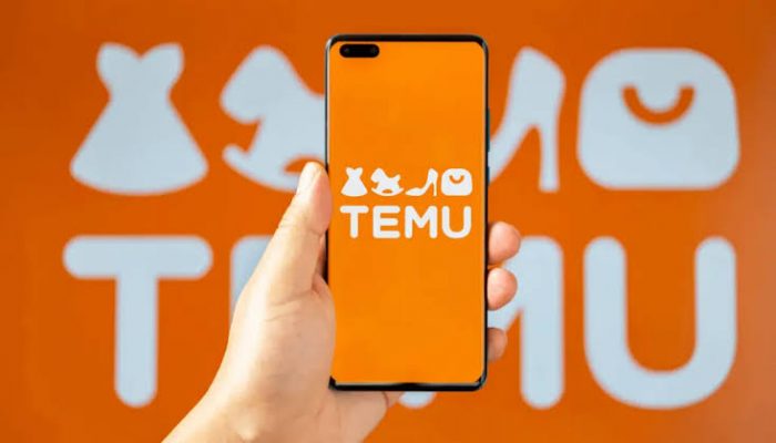 FG investigates Temu over alleged data protection violations