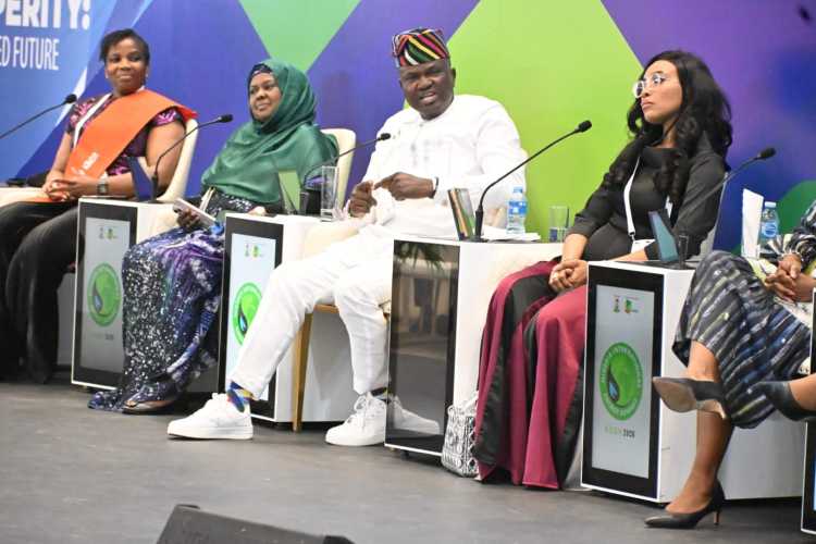 Expert tasks Tinubu on strategic plan for Nigeria's 3m bopd oil production target