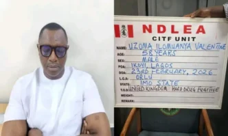 NDLEA nabs wanted drug lord, Uzoma Valentine Ilomuanya