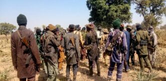 Terrorists kill 20 in Borno, Adamawa border communities