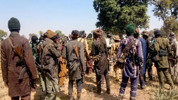 Terrorists kill 20 in Borno, Adamawa border communities