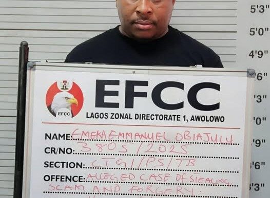 Lagos bizman, Obiajulu Emeka Emmanuel, jailed over $850,000 scam