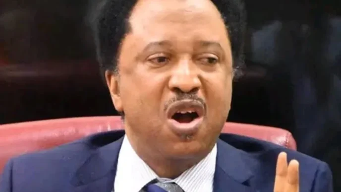 ‘Anything grows in Plateau except peace’ – Shehu Sani laments
