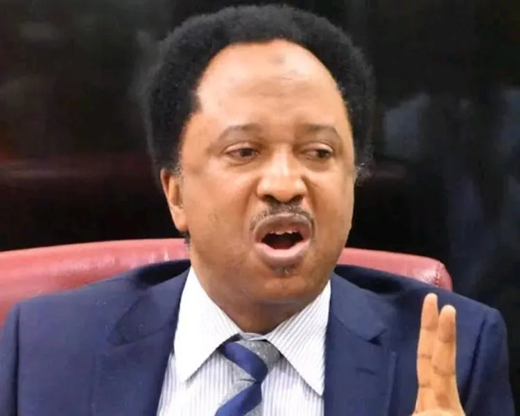 ‘Anything grows in Plateau except peace’ – Shehu Sani laments