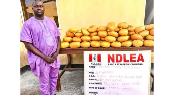 NDLEA nabs Lagos politician, Sheleru Sadiq Olalekan, over illicit drug deal