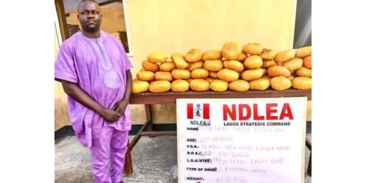 NDLEA nabs Lagos politician, Sheleru Sadiq Olalekan, over illicit drug deal