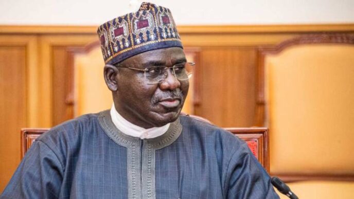 FG knows Boko Haram financiers - Ex-COAS Buratai