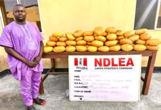 NDLEA arrests ex-Ibeju-Lekki councillor, Sheleru Sadiq, recovers 40kg cannabis