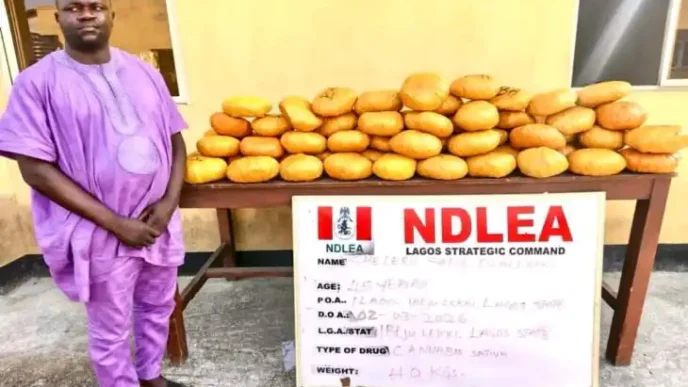 NDLEA arrests ex-Ibeju-Lekki councillor, Sheleru Sadiq, recovers 40kg cannabis