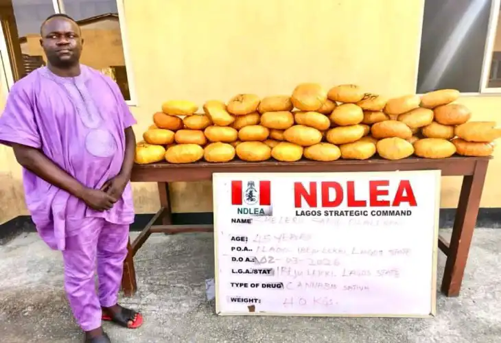 NDLEA arrests ex-Ibeju-Lekki councillor, Sheleru Sadiq, recovers 40kg cannabis