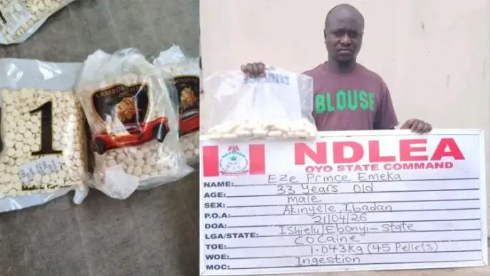 NDLEA intercepts 10,000 captagon pills in Kwara, arrests businessman
