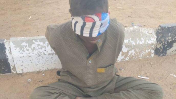 ‘Terrorist spy’ arrested at Yobe airport