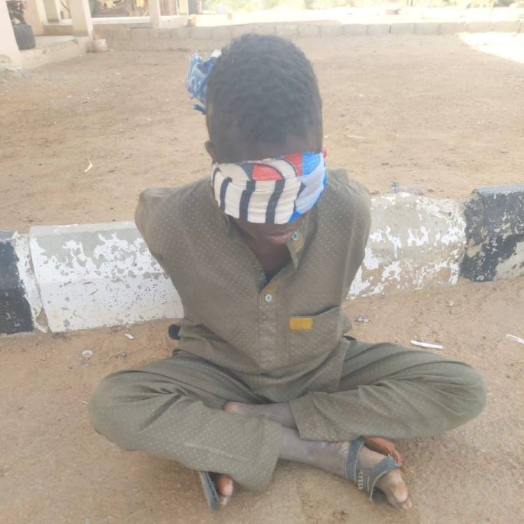 ‘Terrorist spy’ arrested at Yobe airport