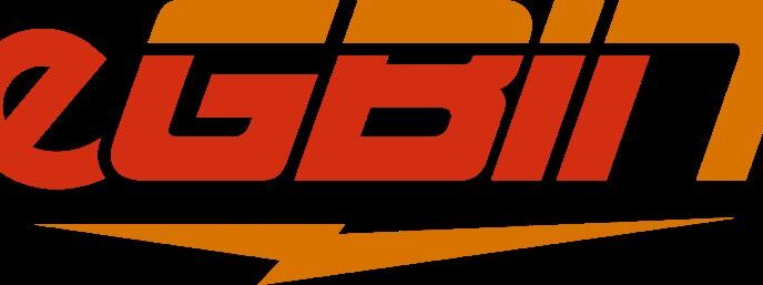 Contractor dies at Egbin Power plant during maintenance operations