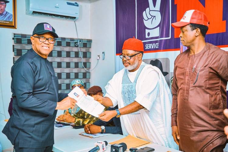 NDC screens, clears Peter Obi as sole presidential aspirant
