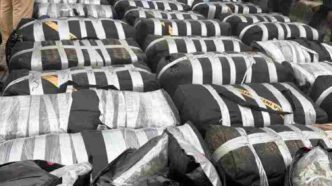 Customs intercepts Canadian Loud, expired drugs worth ₦12.7bn at Apapa Port