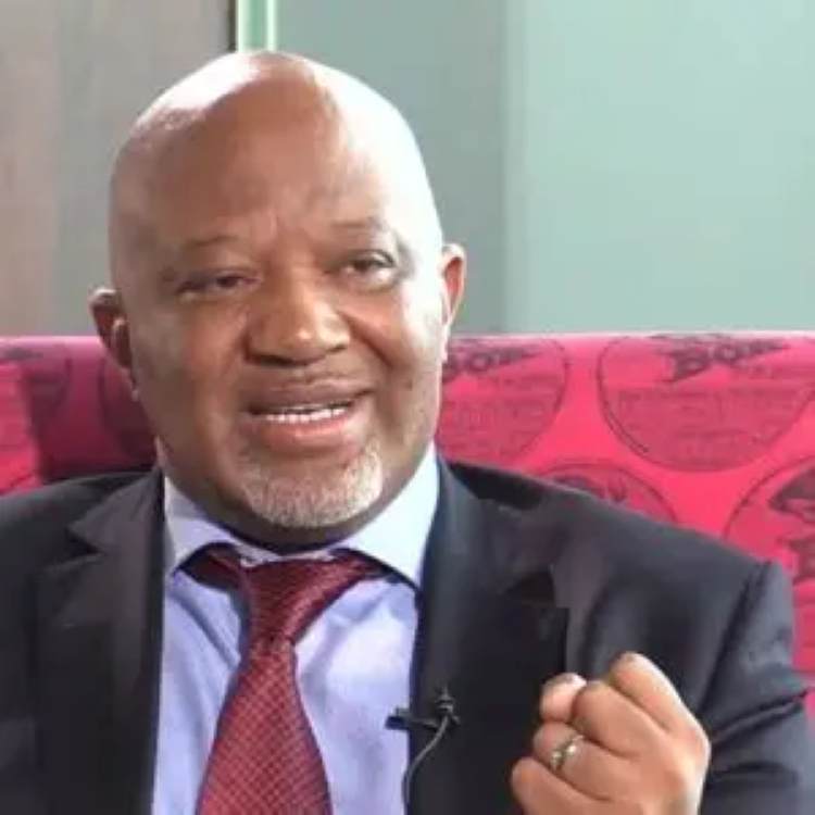 Xenophobia: Foreigners are not South Africa's problem, MTN chair says