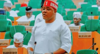'My signature was forged' - Agbese denies backing Ugochinyere as reps minority leader