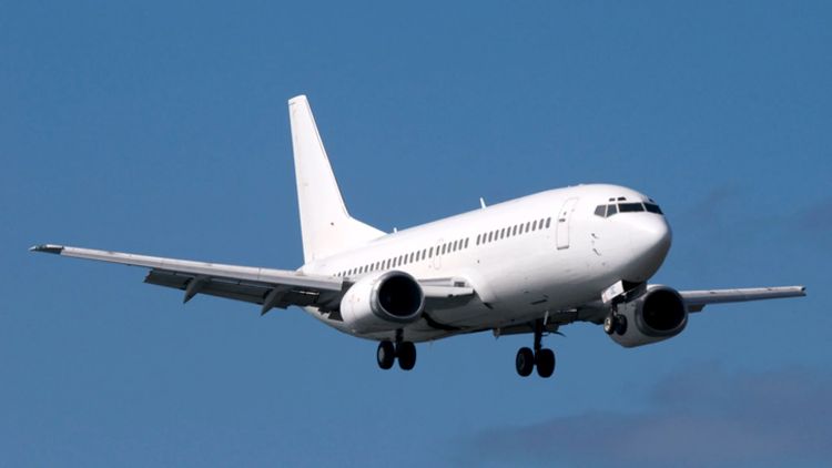 11 killed as skydiving aircraft crashes in France