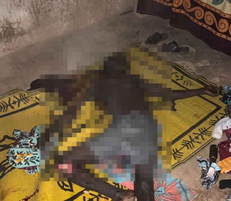 Troops rescue abductees, repel terrorist attack in Sokoto, Katsina 
