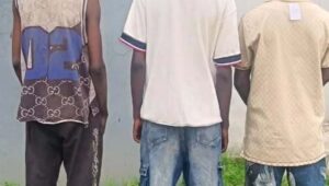 Police nab three suspected gang members in Anambra