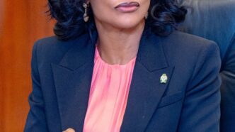 On the defamatory attacks on Emem Usoro, CBN deputy governor