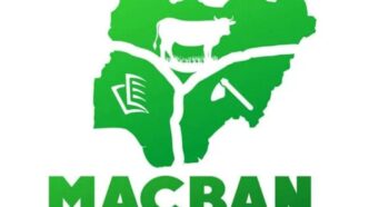 Miyetti Allah denies role in killing of 16 Benue villagers