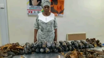 NDLEA nabs 67-year-old grandmother with 13kg cocaine concealed in plantain peels