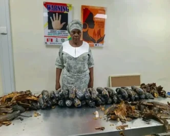 NDLEA nabs 67-year-old grandmother with 13kg cocaine concealed in plantain peels