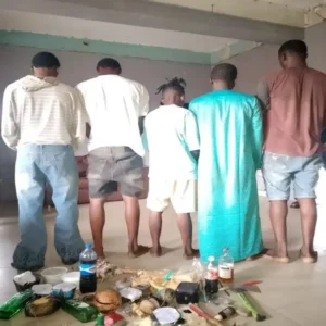 Police nab five suspected cultists in Lagos