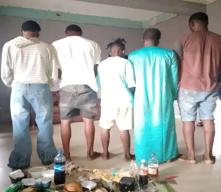 Police nab five suspected cultists in Lagos